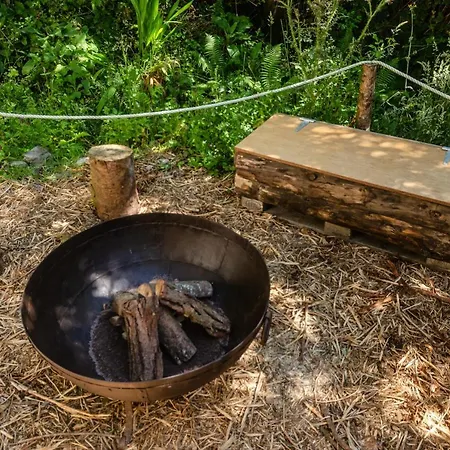 The Botanical Bell Tent خيمة فخمة *