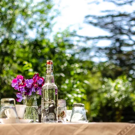 The Botanical Bell Tent Luxury tent *
