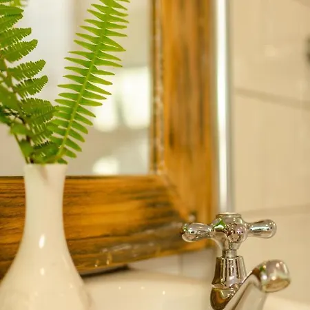 The Botanical Bell Tent خيمة فخمة غليغاريف