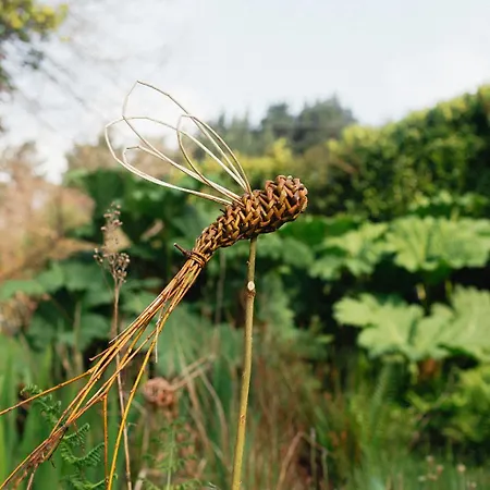 The Botanical Bell Tent خيمة فخمة *