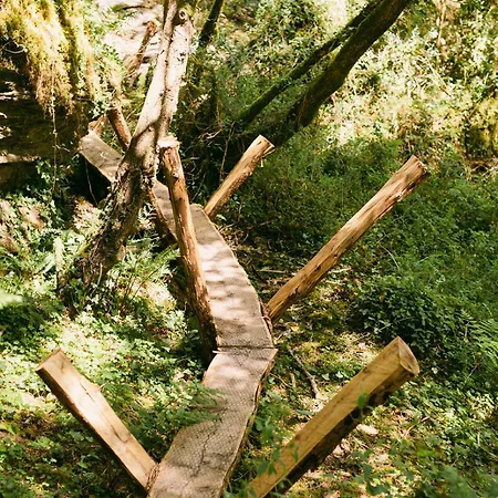 The Botanical Bell Tent غليغاريف