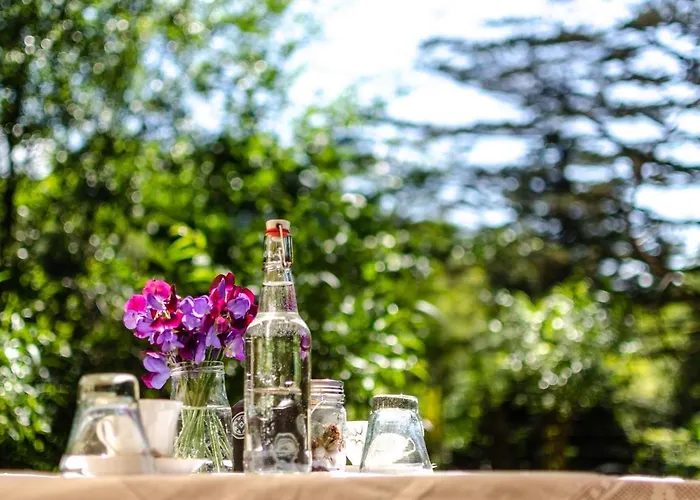 The Botanical Bell Tent Luksusowy namiot *