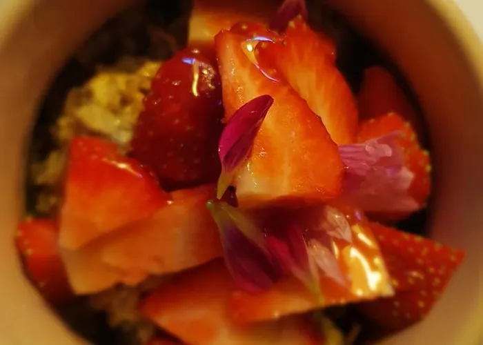 Campo de lujo The Botanical Bell Tent *