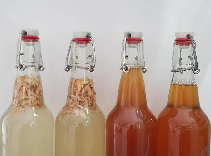 The Botanical Bell Tent Campo de lujo Glengarriff