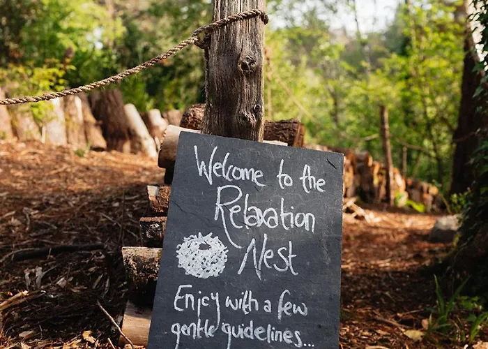 The Botanical Bell Tent Glengarriff