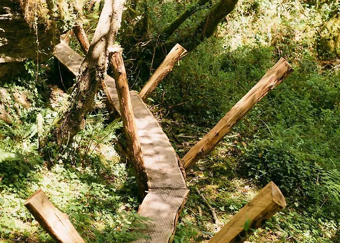The Botanical Bell Tent Glengarriff